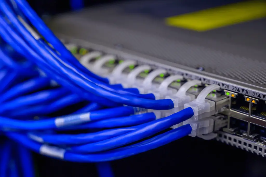 Blue Ethernet cables plugged into Network Switch for Internet.